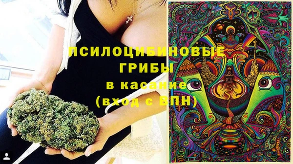 jwh Каменногорск