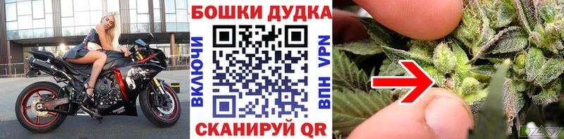 Купить закладки  Рассказово  Шишки марихуана White Widow 